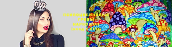 apvp Балабаново