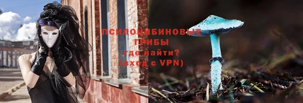 apvp Балабаново