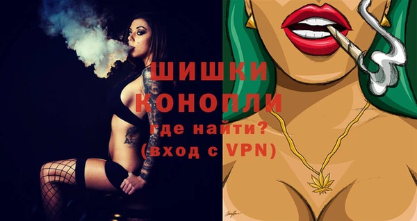 метадон Пестово