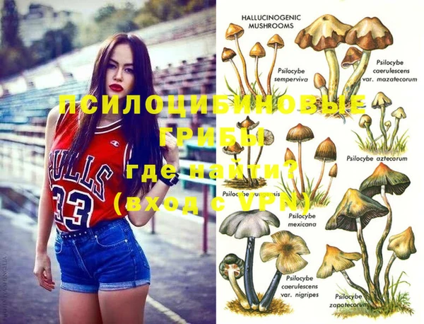 стаф Баксан