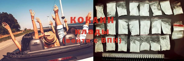 твердый Пересвет