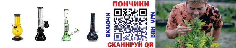 Бошки Шишки Ganja  Заинск 